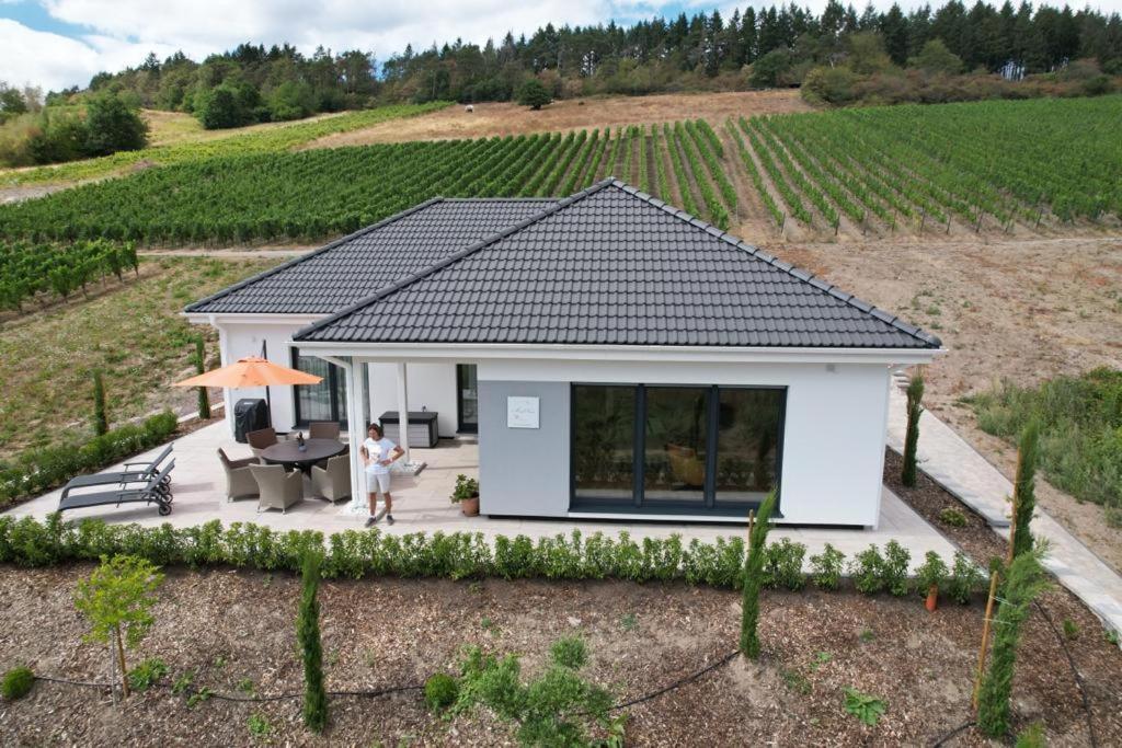 Neu - Premium-Ferienhaus Mosel-Sonne Трабен-Трарбах Экстерьер фото