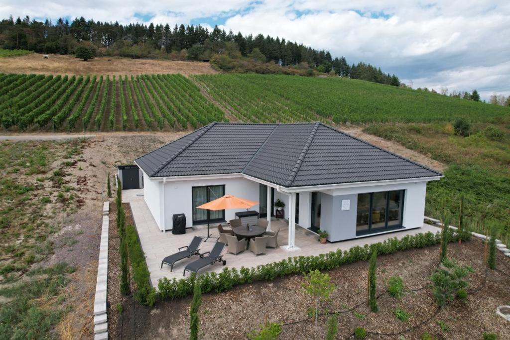 Neu - Premium-Ferienhaus Mosel-Sonne Трабен-Трарбах Экстерьер фото